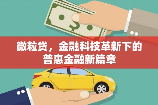 土默特左旗微粒贷，金融科技革新下的普惠金融新篇章