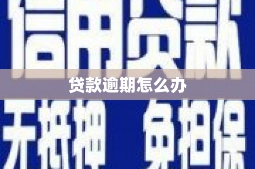 延安贷款逾期怎么办