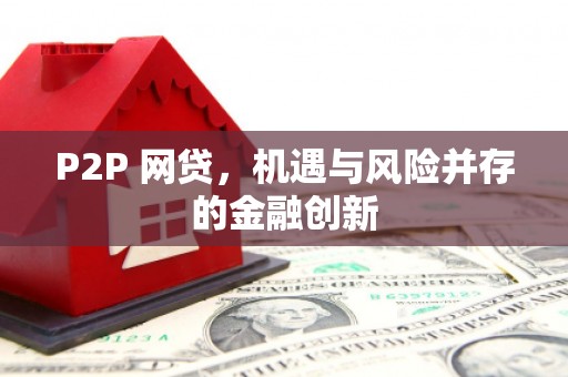 纳雍P2P 网贷，机遇与风险并存的金融创新