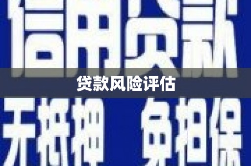 西吉贷款风险评估