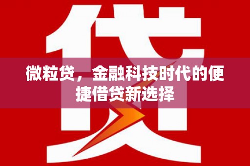 昌吉微粒贷，金融科技时代的便捷借贷新选择