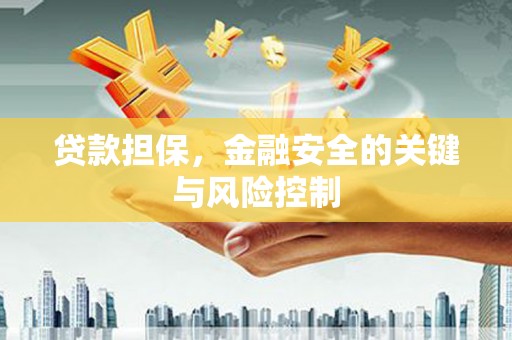 猇亭贷款担保，金融安全的关键与风险控制