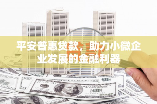 大堂平安普惠贷款，助力小微企业发展的金融利器