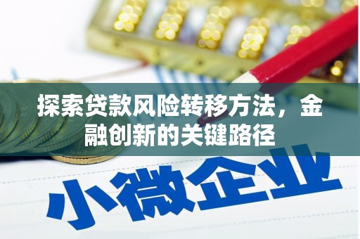 长滨探索贷款风险转移方法，金融创新的关键路径
