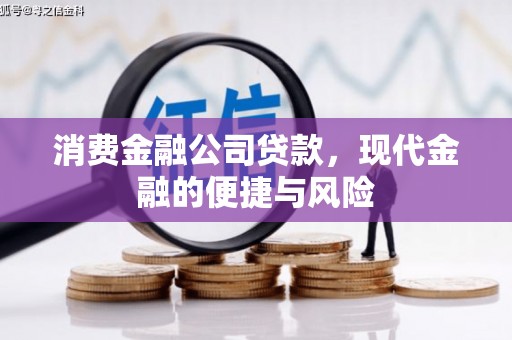 大武消费金融公司贷款，现代金融的便捷与风险
