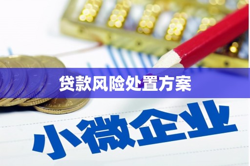 涧西贷款风险处置方案