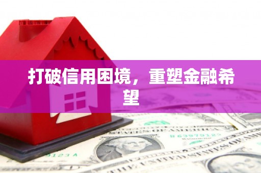 柳河打破信用困境，重塑金融希望
