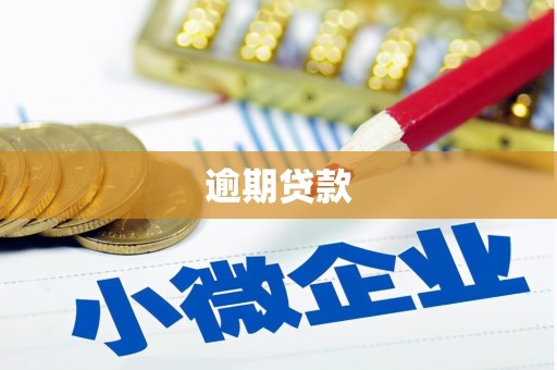 宣汉逾期贷款