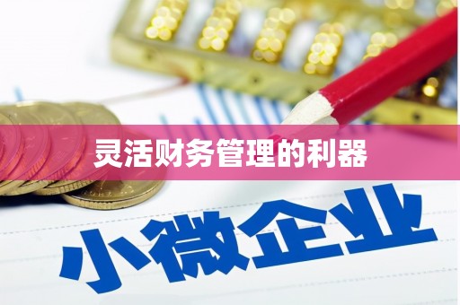 安定灵活财务管理的利器