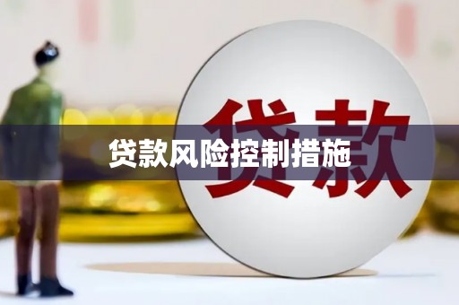 张湾贷款风险控制措施