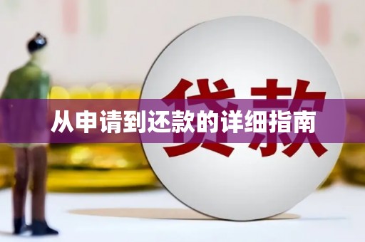 理县从申请到还款的详细指南
