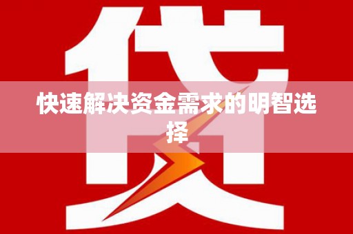 桃山快速解决资金需求的明智选择