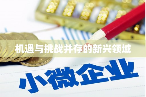 盖州机遇与挑战并存的新兴领域