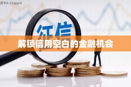 原州解锁信用空白的金融机会