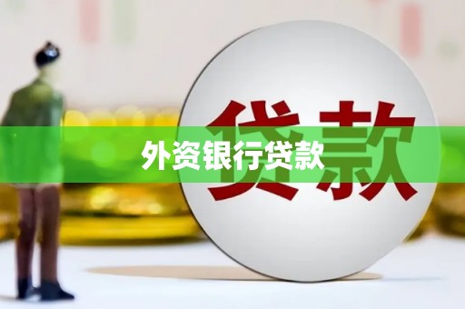 淮上外资银行贷款