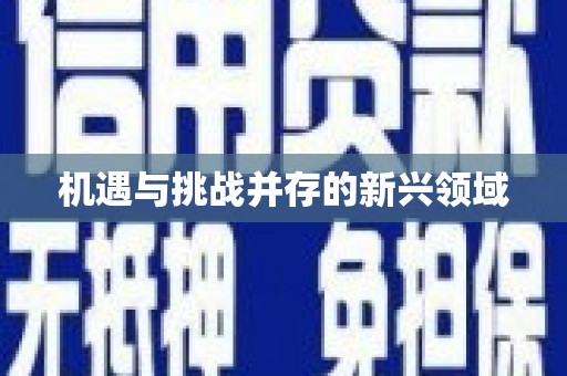 三穗机遇与挑战并存的新兴领域