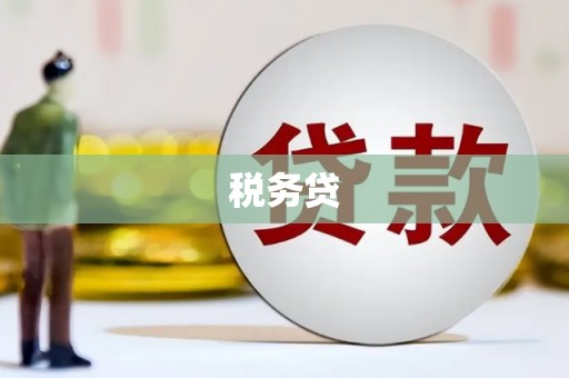 巩义税务贷