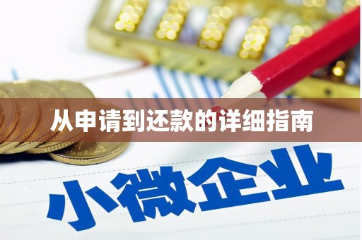 云龙从申请到还款的详细指南