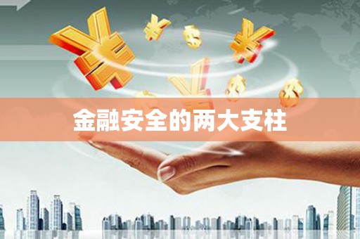 陆良金融安全的两大支柱