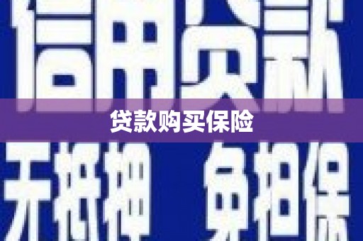 苍南贷款购买保险