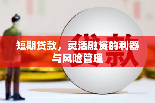 塔什库尔干塔吉克短期贷款，灵活融资的利器与风险管理