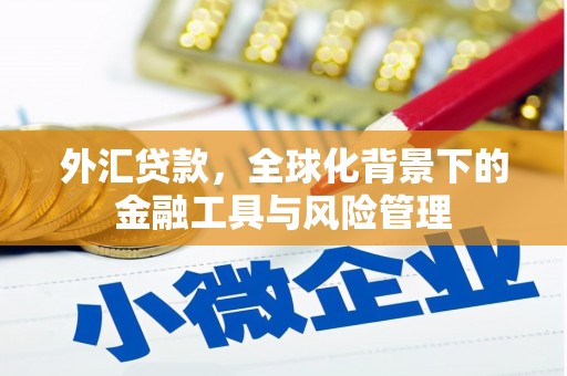 南宫外汇贷款，全球化背景下的金融工具与风险管理